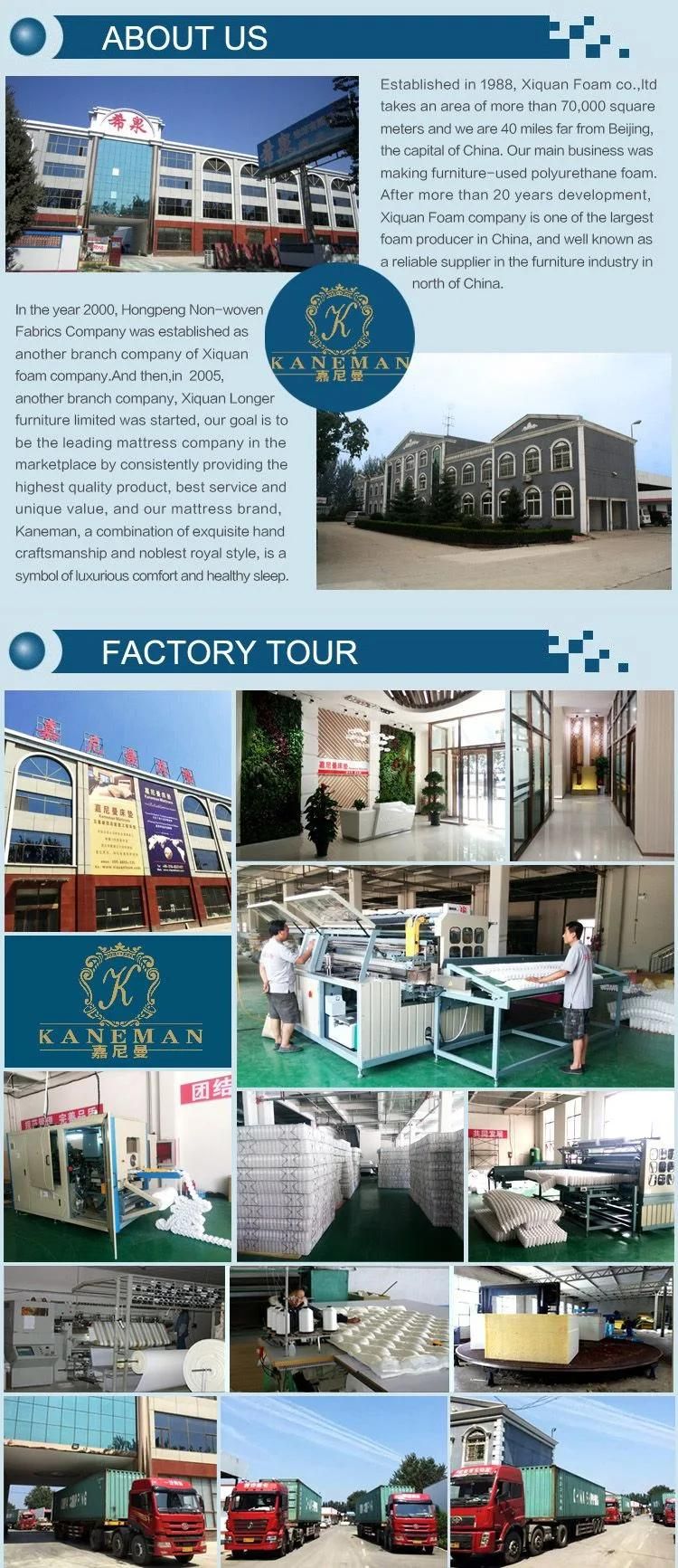 Wholesale Compress Pocket Spring Mattress