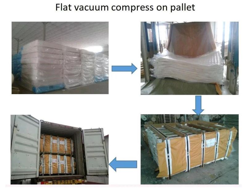 Fireproof Spring Mattress Cheap Price Hotel Mattress and Dormitory Project Coil Spring Mattress