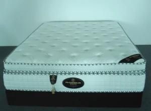 Fashionable Supersoft Foam Pocket Spring Mattress (FL-235)