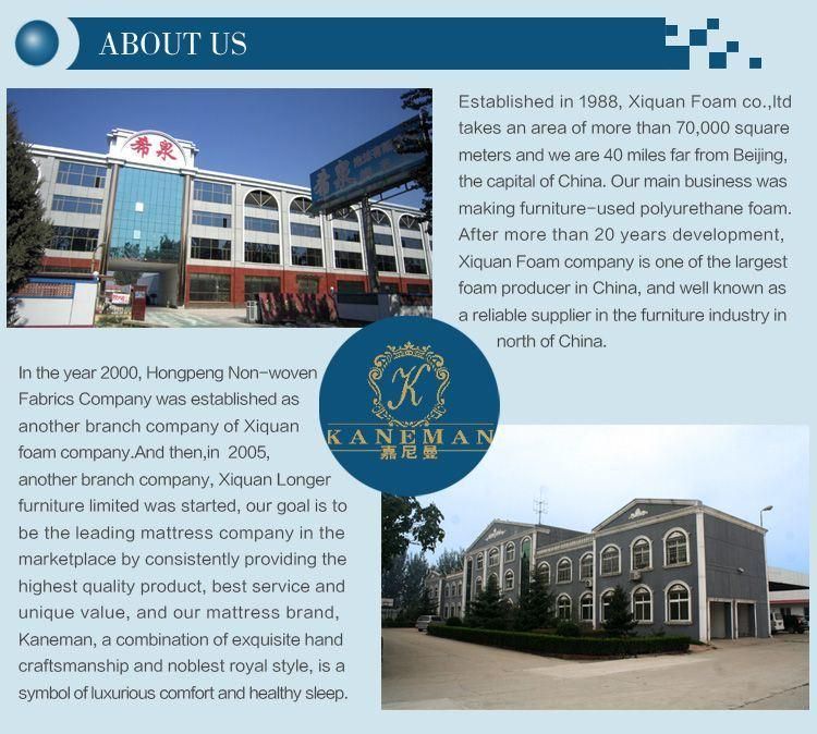 Fireproof and Waterproof High Density Foam Mattress for Hospital and Prison