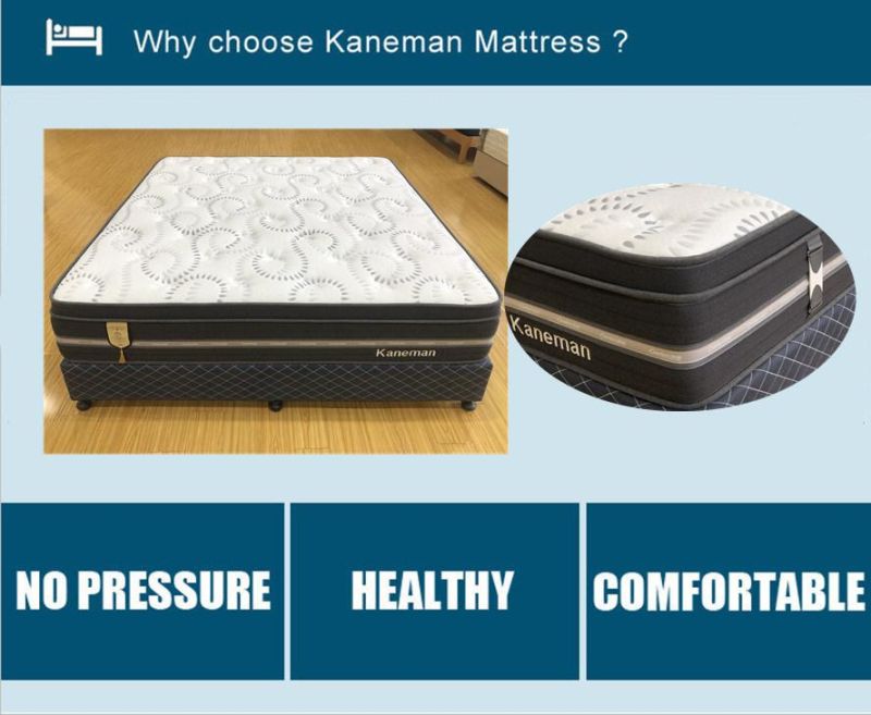 Rolled Latex Mattress in a Box Manufacturer Bed Pocket Spring Mattress
