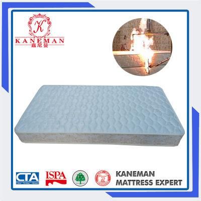 Simple Fashion Good Sleep Student Dormitory Spring Mattress