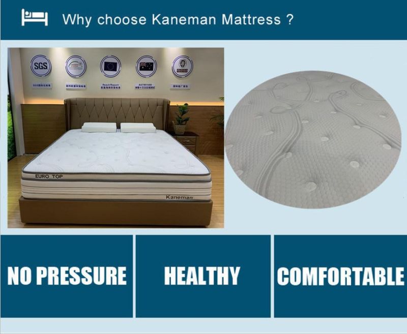 Compress Coil Spring Mattress Wholesale Euro Top Bed Mattress Factory Custom Mattress
