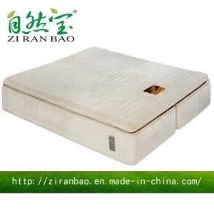 New Model New Design Folding Memory Foam Spring Mattress (ZRB-331)