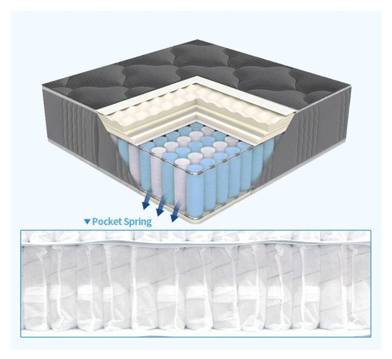 King Mattress Compress Pocket Coil Spring Mattress on Sale (LZN1612)