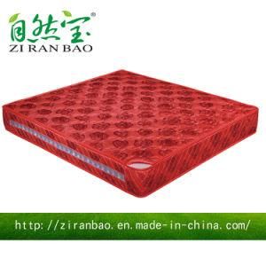 Bonnell Spring + Memory Foam Pillow Top Red Mattress
