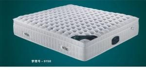 Euro Top Natural Latex Foam Mattress ABS-9158