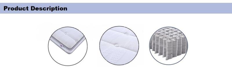 Home Furniture Pocket Coil Spring Foam Mattress with Tight Top Design