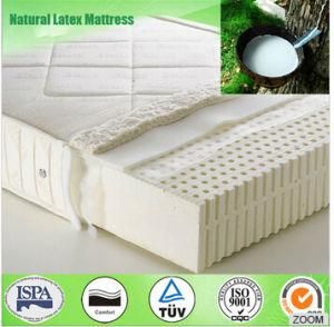 100% Natural Latex Foam Mattress