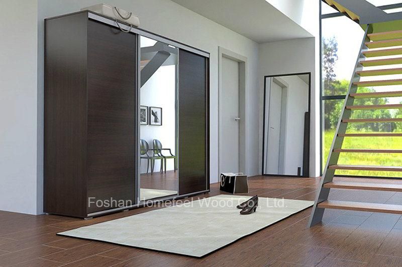 Popular White Mirror Living Room Wardrobe Closet (HF-EY062)