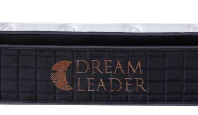 Dreamleader/OEM New Compress and Roll in Carton Box Backcomfort Sprung Mattress