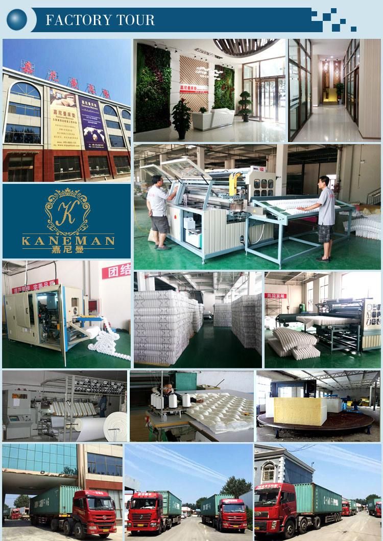 Cheap Price Luxury Latex Pocket Spring Mattress