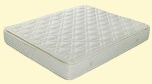 Queen Size Hotel Bonnell Spring Mattress (FL-356)