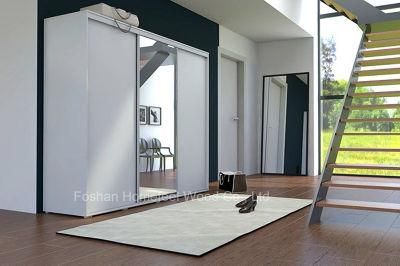 Popular White Mirror Living Room Wardrobe Closet (HF-EY062)