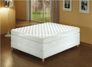 High Quality Foam Pocket Spring Mattress (RH061)