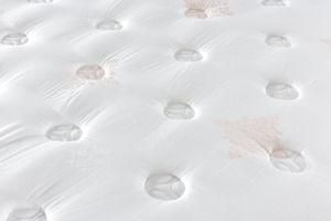 Medical for Hospital Tricot Thin Air Inner Core Raw Material Offer Density Vacuum Soft Doubl Bed Xxxn Twin Mattress