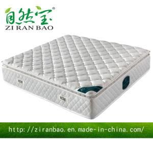 Pure White Super Comfortable Pocket Spring Mattresses (ZRB-811)