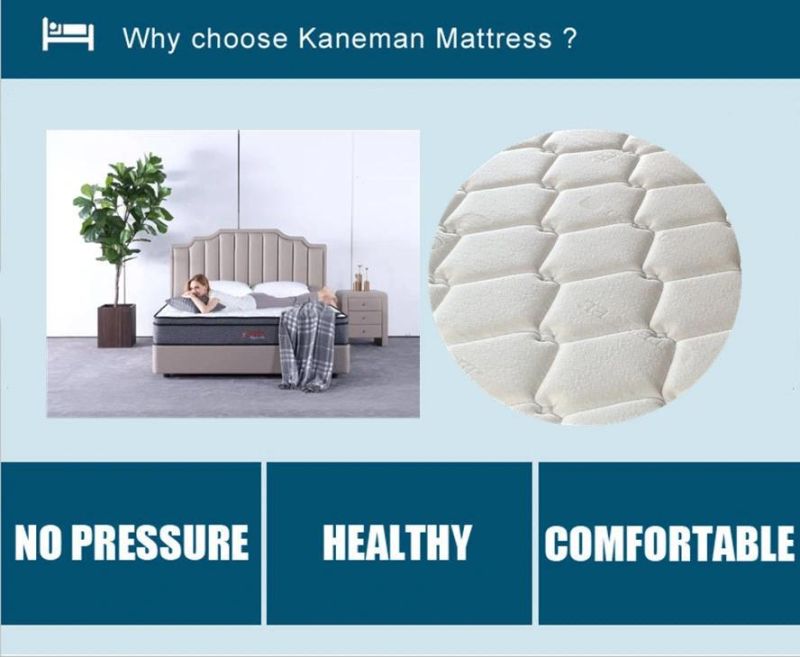 Custom Size Mattress Coil Spring Mattress Compress Mattress in a Box