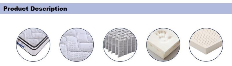 5 Zone Euro Top Design Pocket Spring Memory Foam and Latex Soft Foam Mattress Home Furniture Bed Hotel Bed
