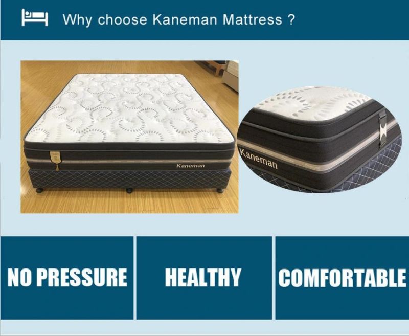 Foam Encased Spring Mattress Medium Firm Latex Mattress Hot Sale Mattress