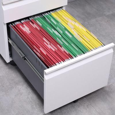 Modern File Cabinet Locking Filling Cabinet with 2 Drawers 5 Wheels Vertical Metal Storage