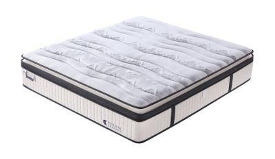High Grade Bed Pillow Euro Top Design Latex Pocket Spring Mattress