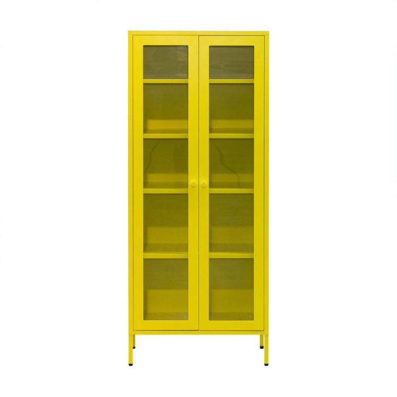Black Color 2-Door Swing Cupboard Metal Cabinet