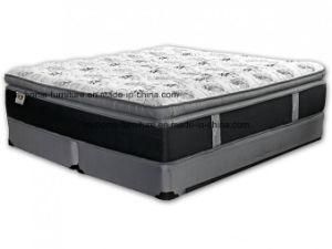 King Size New Box Spring Bed Latex Foam Home Mattress