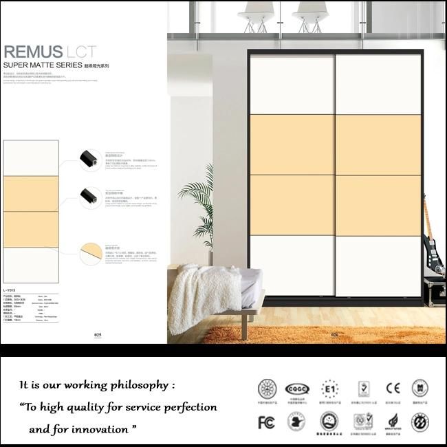 High Quality Wooden Sliding Door Wardrobe (FY876)