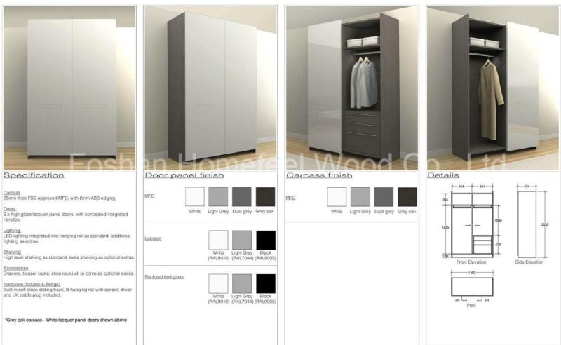 UV High Gloss 2 Doors Flush Sliding Door Wardrobe (HF-FS01)