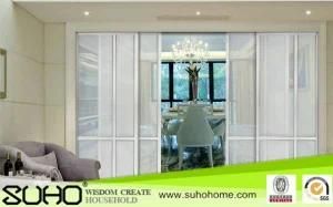 Aluminum Tempered Glass Sliding Partition Door