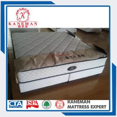 Cheap Standard Hotel Use Bed Base and Mattress