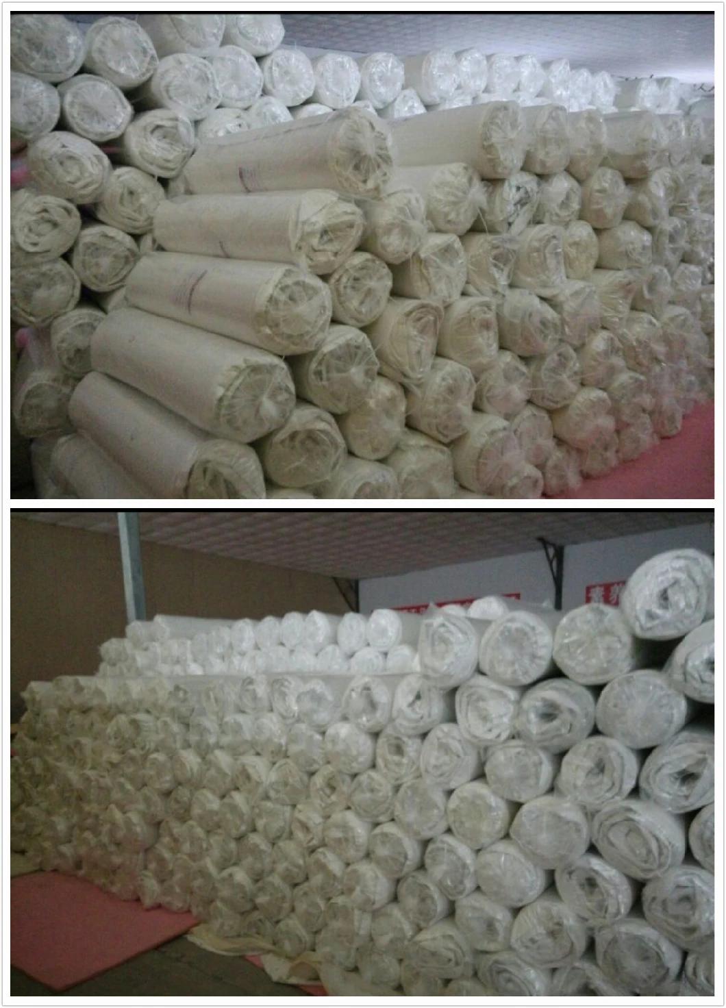Waterproof and Fireproof Foam Mattress for Rehabilitation Hospital, School and Hotel
