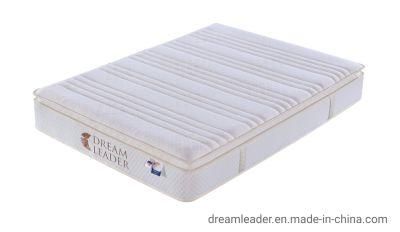 Dreamleader Memory Foam Pocket Spring Mattress Compressed Bed