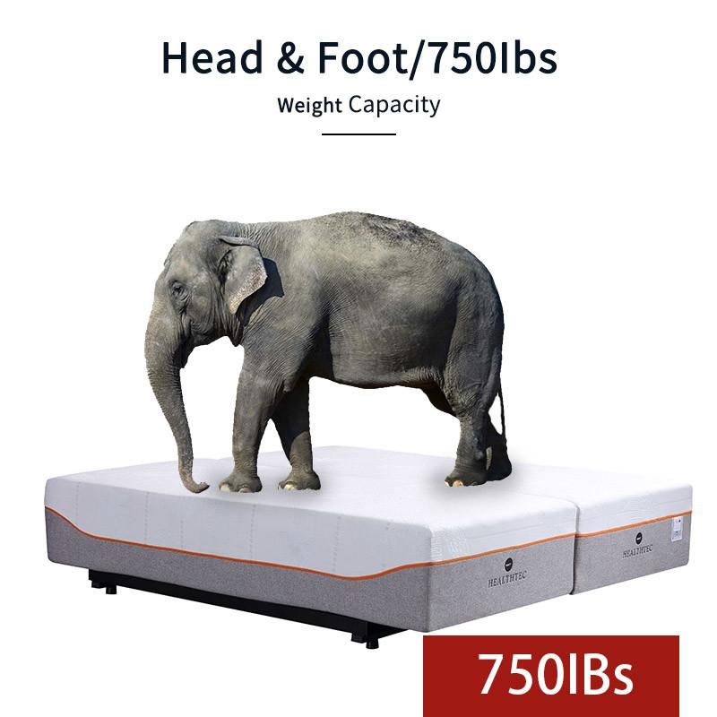 Healthtec Customize Bed Furniture Head up & Leg up Simple Adjustable Bed Frame