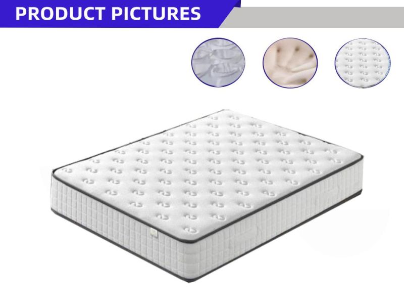 Soft Latex Memory Foam Roll-up-Box Mattress for Home/Hotel/Bedroom/Mattresses Factory
