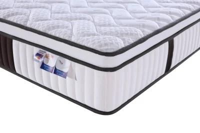 Euro Top School Dreamleader/OEM Compress and Roll in Carton Box Green OEM Mattress