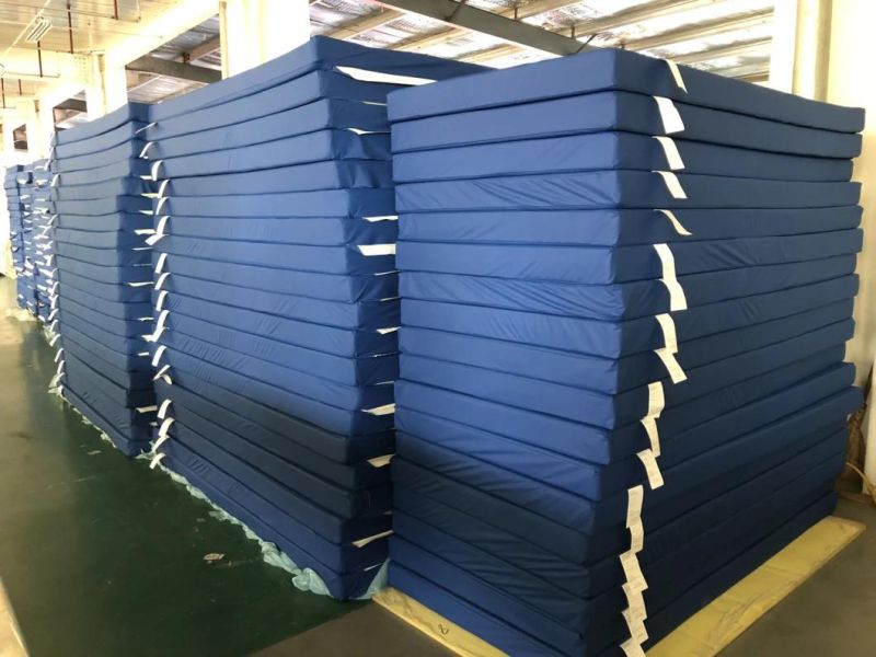 Waterproof and Fireproof Foam Mattress for Rehabilitation Hospital, School and Hotel