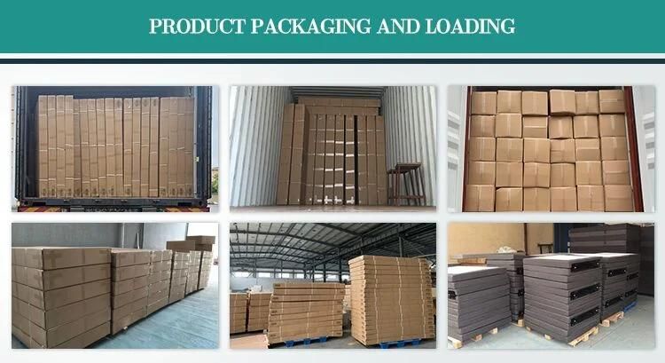 High Quality Motorized Electric Lift up Storage Bed Frame with Remote Control