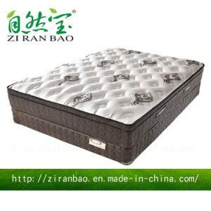 Special Design Luxury Latex Pocket Spring Bed Mattress