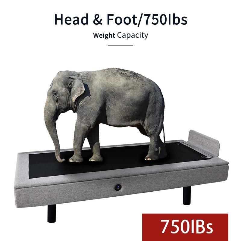 Good Quality Massage Bed Electric Adjustable