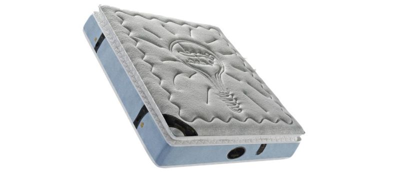 Memory Foam and Spring Mattress