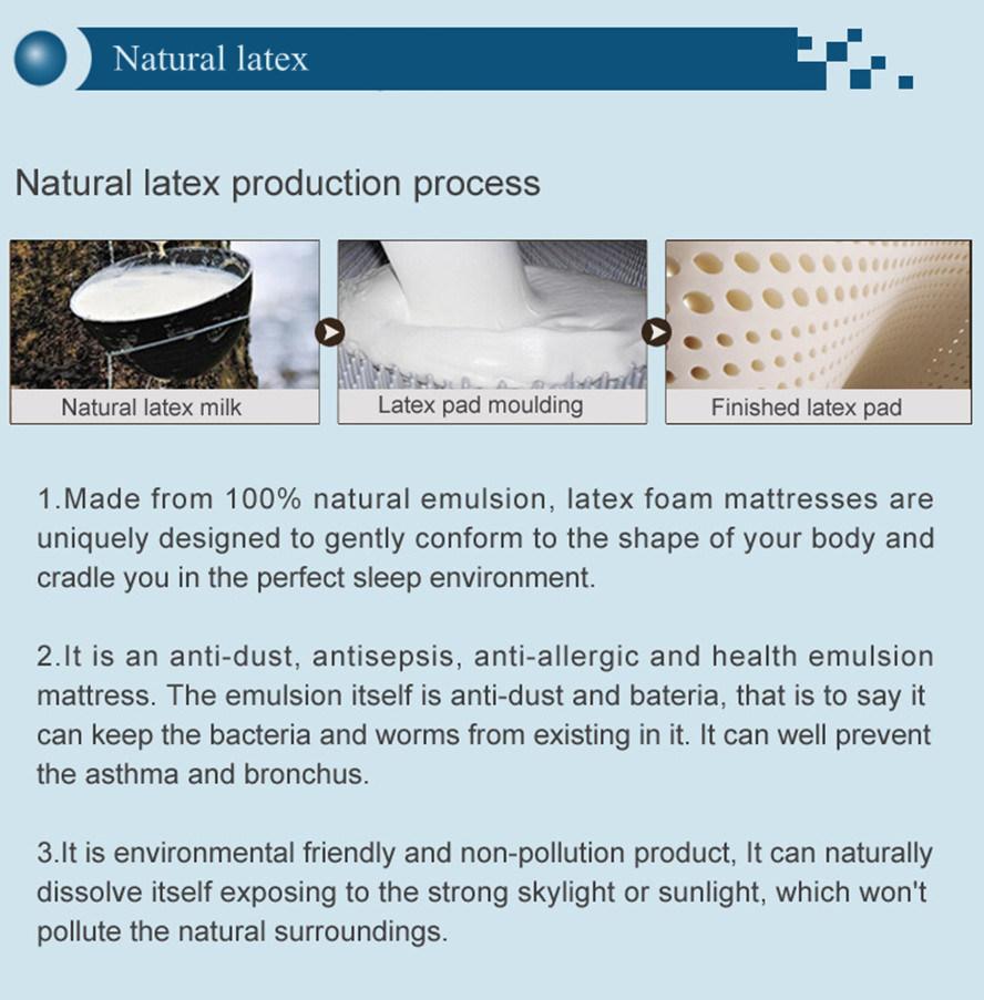 Natural Latex Mattress Foam Encased Pocket Spring Mattress Bed Mattress in a Box