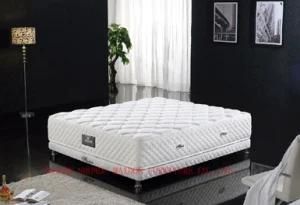 Pocket Spring / Non-Toxic Mattress (MA13)
