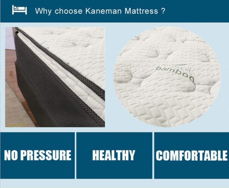 Wholesale Mattress 10inch Bonnell Spring Mattress Rolled Mattress in a Box