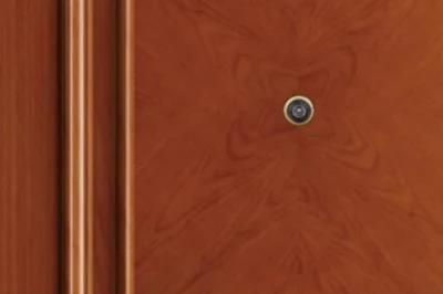 Double Leaf Lacquer Wood Veneer Timber Entrance Door
