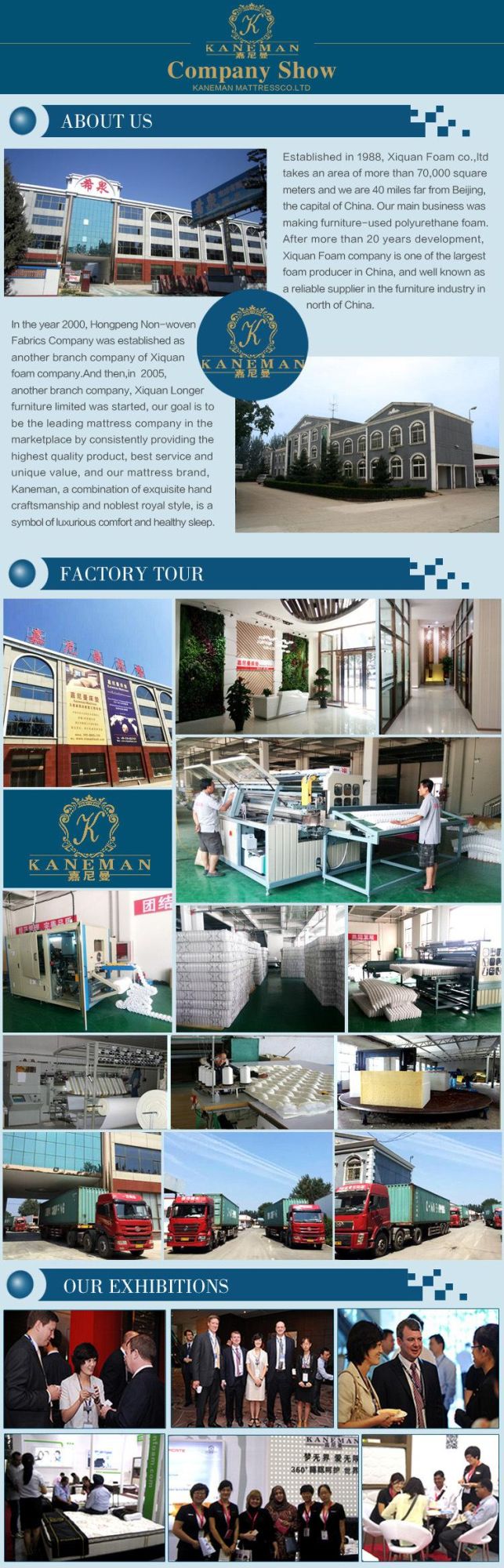 Best Seller Wholesales Good Mattress Spring Vacuum Compressed Mattress for Home Use