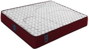 Thick Memory Foam Mattress (WL302)