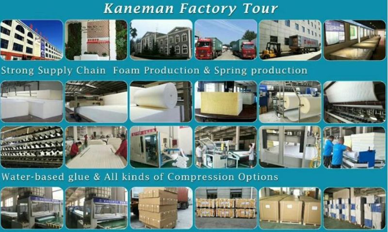 Hotel Bed Mattress Type Cheap Coil Spring Mattress Rolled in a Box Factory Mattress
