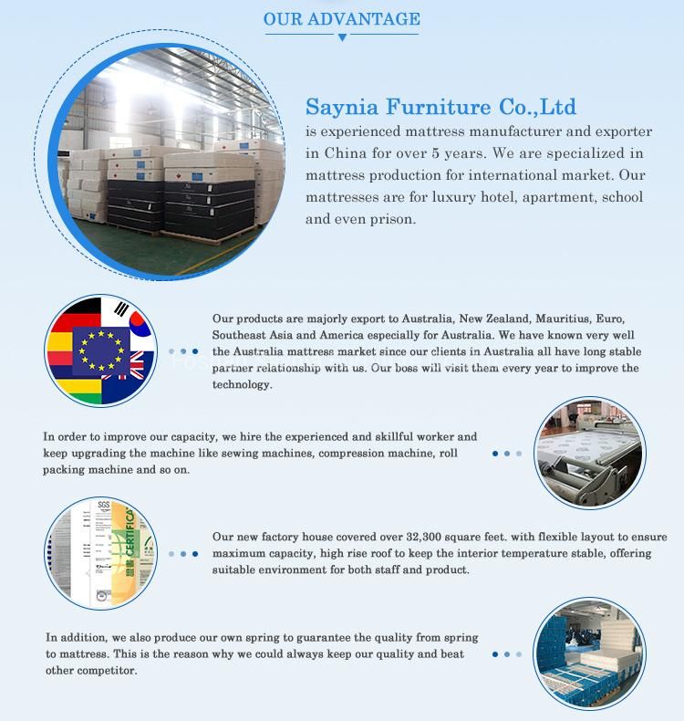 Customized All Size Zone Mattresses Pocket Spring Unit Interval 5-Zone Pocket Spring Unit Use for Mattresses